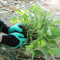 Strapabíró kerti ültetőkesztyű erősített ásókarmokkal