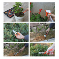 Elite Garden® 12 részes kerti szerszámkészlet műanyag kofferben Elite Garden® 12 részes kerti szerszámkészlet műanyag kofferben