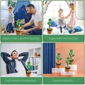 Interaktív visszabeszélő, táncoló, zenélő, világító kaktusz, hangfelvétellel, akkus, USB kábellel