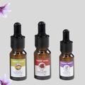 Fragrant Garden természetes növényi kivonatokból készült illóolaj válogatás, 12x10ml Fragrant Garden természetes növényi kivonatokból készült illóolaj válogatás, 12x10ml