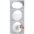 Energiatakarékos mennyezeti LED lámpa, 24W, 30cm, ezüst karima Energiatakarékos mennyezeti LED lámpa, 24W, 30cm, ezüst karima
