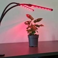 2×20 LED-es, 2 paneles növénynevelő, palántanövesztő, növénytermesztő lámpa csíptethető rögzítéssel, távkapcsolóval