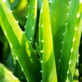 NATURTEX Aloe Vera extra puha és meleg téli garnitúra,140x200+70x90+40x50, hordtáskában, fehér