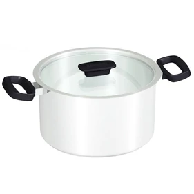 Zanussi rozsdamentes edény üveg fedővel 20 cm AOSTA ZCA31412AF