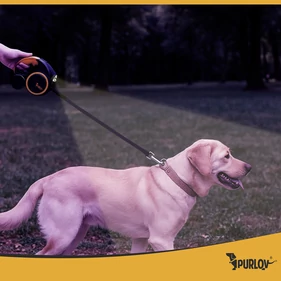 Automatikus fékezhető kutyapóráz 10–25 kg-ig, LED-es zseblámpával, zacskó tartóval, 5 m hosszúságú