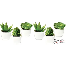 Pozsgások matrica falra, csempére, bútorra