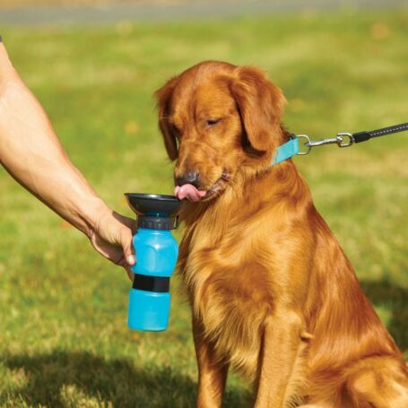 Aqua Dog hordozható cseppmentes kutyaitató kulacs, BPA mentes