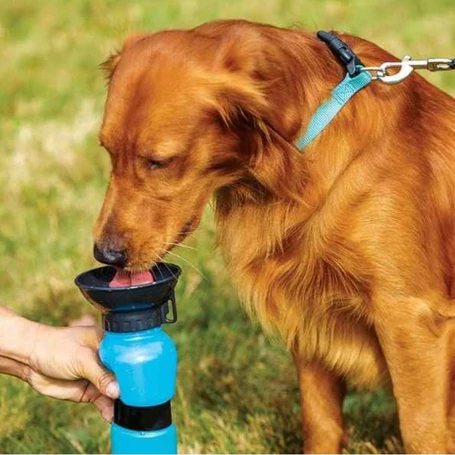 Aqua Dog hordozható cseppmentes kutyaitató kulacs, BPA mentes