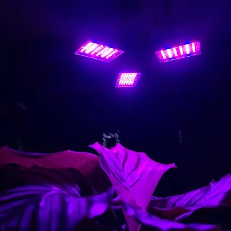 108 LED-es növénynevelő, palántanövesztő, növénytermesztő lámpa hálózati foglalatba tekerhető